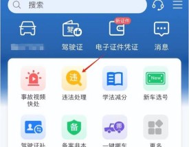 货车违章查询／货车违章查询系统