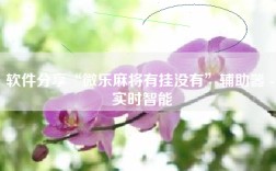 软件分享“微乐麻将有挂没有”辅助器 - 实时智能