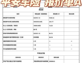 【哪家车险比较靠谱,哪家车险比较实惠】