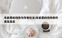 车前草的功效与作用吃法/车前草的功效和作用及禁忌