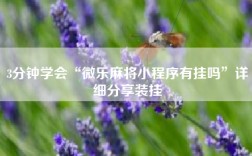 3分钟学会“微乐麻将小程序有挂吗”详细分享装挂