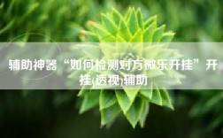 辅助神器“如何检测对方微乐开挂”开挂(透视)辅助