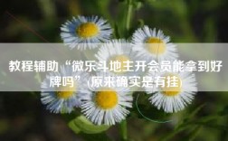 教程辅助“微乐斗地主开会员能拿到好牌吗”(原来确实是有挂)