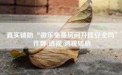 真实辅助“微乐免费房间开挂安全吗”作弊(透视)透视辅助