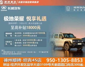 汽车坦途克300多少钱(汽车之家坦途克300价格图片)