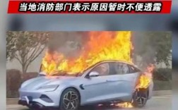 【比亚迪新能源汽车起火事件,比亚迪新能源汽车起火事件始末】