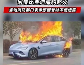 【比亚迪新能源汽车起火事件,比亚迪新能源汽车起火事件始末】