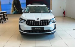 【斯柯达柯迪亚克报价及图片,斯柯达柯迪亚克最新款】