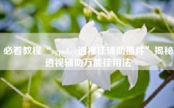 必看教程“agpoker透视挂辅助插件”揭秘透视辅助万能挂用法