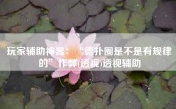 玩家辅助神器：“德扑圈是不是有规律的”作弊(透视)透视辅助