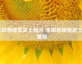 本田思域黑武士图片 本田思域黑武士限量版