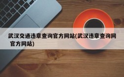 武汉交通违章查询官方网站(武汉违章查询网 官方网站)