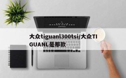 大众tiguanl300tsi/大众TIGUANL是那款