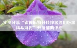 实测分享“雀神麻将开挂神器通用版黑科斗麻将”开挂辅助详细