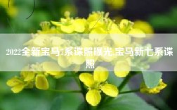 2022全新宝马7系谍照曝光,宝马新七系谍照