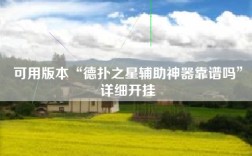 可用版本“德扑之星辅助神器靠谱吗”详细开挂