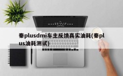 秦plusdmi车主反馈真实油耗(秦plus油耗测试)