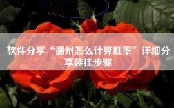 软件分享“德州怎么计算胜率”详细分享装挂步骤