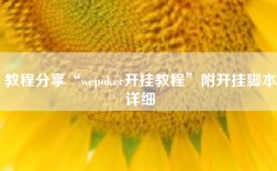 教程分享“wepoker开挂教程”附开挂脚本详细