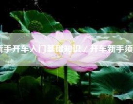 新手开车入门基础知识／开车新手须知