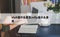 visit是什么意思/silly是什么意思