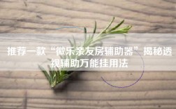 推荐一款“微乐亲友房辅助器”揭秘透视辅助万能挂用法