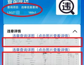 贵州交通违章查询官方网,贵州交通违章查询网查询车辆违章