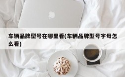 车辆品牌型号在哪里看(车辆品牌型号字母怎么看)