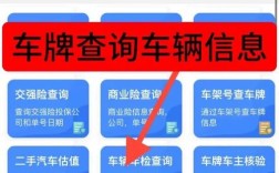 车辆号牌查询车主姓名,车辆号牌查询车主姓名信息