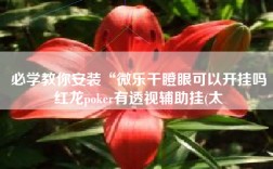 必学教你安装“微乐干瞪眼可以开挂吗红龙poker有透视辅助挂(太