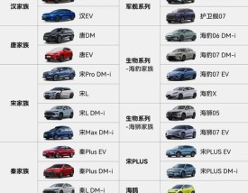 比亚迪新能源汽车mini价位,比亚迪迷你电动2021款