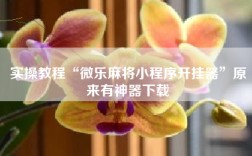 实操教程“微乐麻将小程序开挂器”原来有神器下载