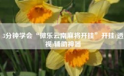 3分钟学会“微乐云南麻将开挂”开挂(透视)辅助神器