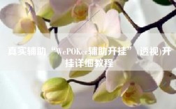 真实辅助“WePOKer辅助开挂”(透视)开挂详细教程