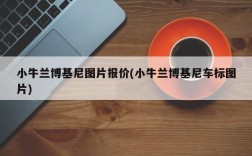 小牛兰博基尼图片报价(小牛兰博基尼车标图片)