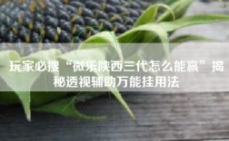 玩家必搜“微乐陕西三代怎么能赢”揭秘透视辅助万能挂用法