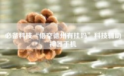 必备科技“悟空德州有挂吗”科技辅助神器手机