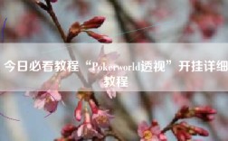 今日必看教程“Pokerworld透视”开挂详细教程