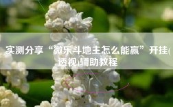 实测分享“微乐斗地主怎么能赢”开挂(透视)辅助教程