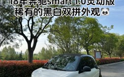 奔驰smart油车,奔驰smart油车一年养车多少钱