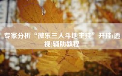 专家分析“微乐三人斗地主挂”开挂(透视)辅助教程