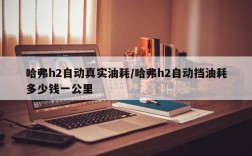 哈弗h2自动真实油耗/哈弗h2自动挡油耗多少钱一公里
