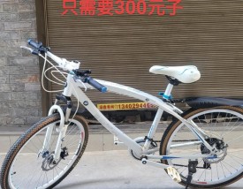 真正的宝马自行车官网,宝马自行车官网中国