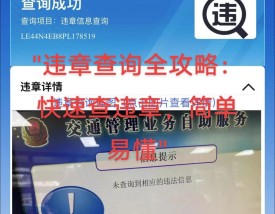 沈阳市违章查询,沈阳违章记录查询