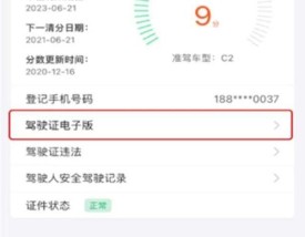 驾驶证查询系统入口12123／“驾驶证查询”