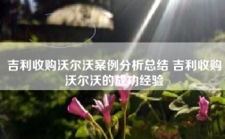 吉利收购沃尔沃案例分析总结 吉利收购沃尔沃的成功经验