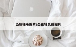 凸轮轴承图片/凸轮轴总成图片