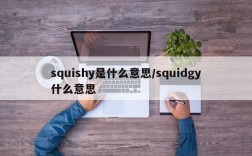 squishy是什么意思/squidgy什么意思