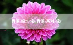 奔驰e级2016款(奔驰e系列15款)