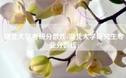 湖北大学考研分数线(湖北大学研究生专业分数线)